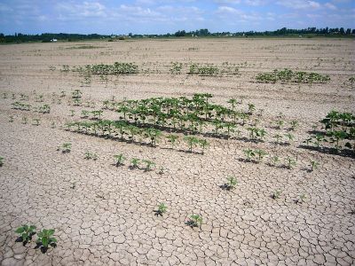 Bandeau-diaporamas-du-seminaire-de-lancement-2023-du-metaprogramme-XRisques